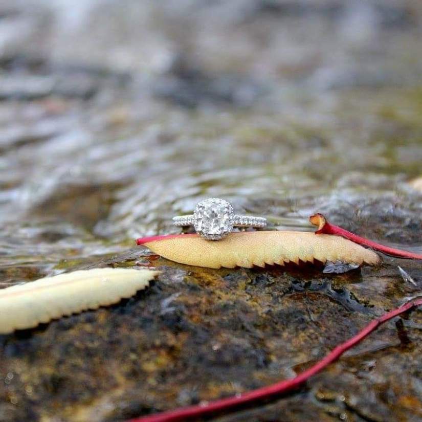 FB_IMG_1550431565480